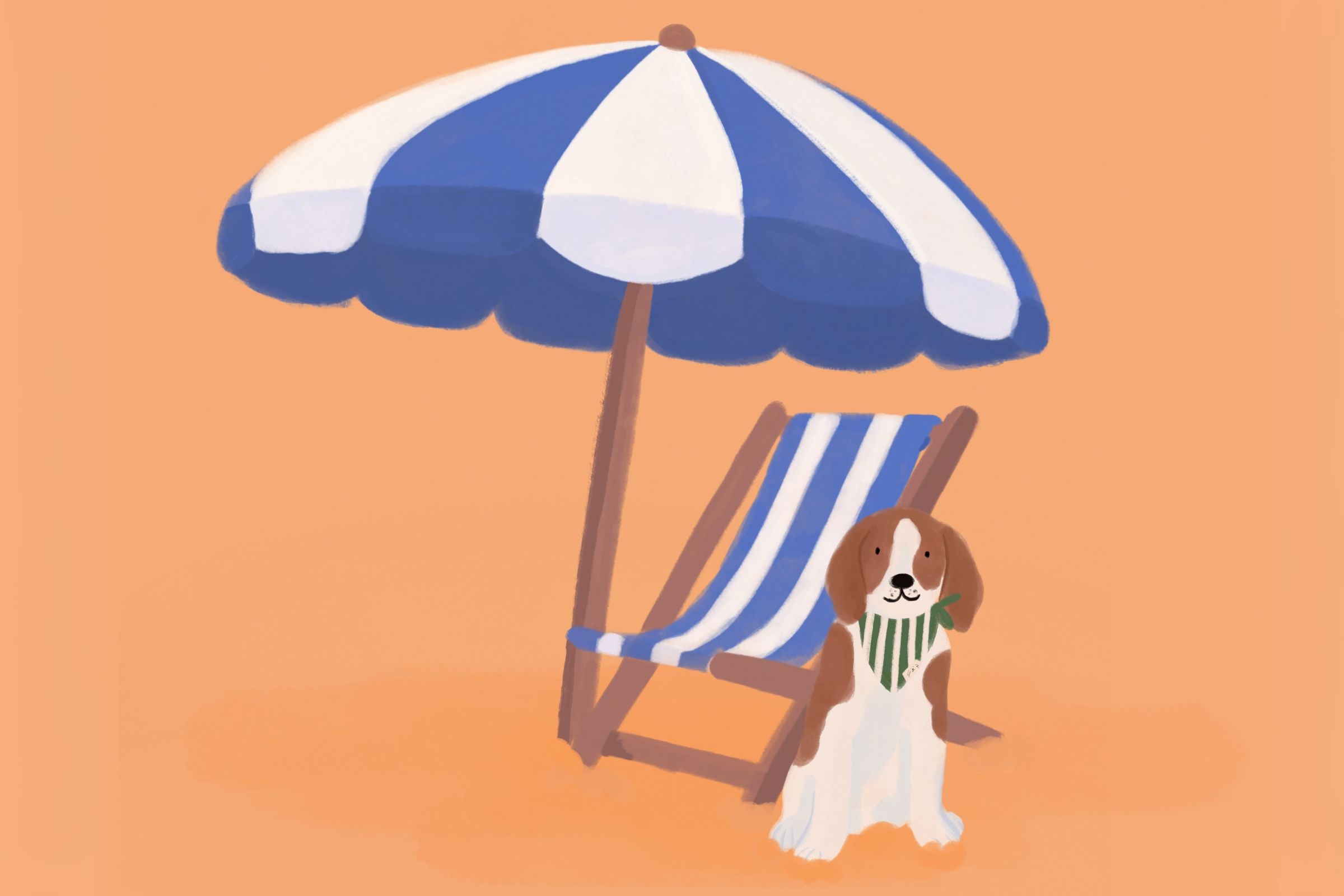 Jak zabrać psa na wycieczkę autem za granicę – i czy możliwy jest all inclusive z pupilem?