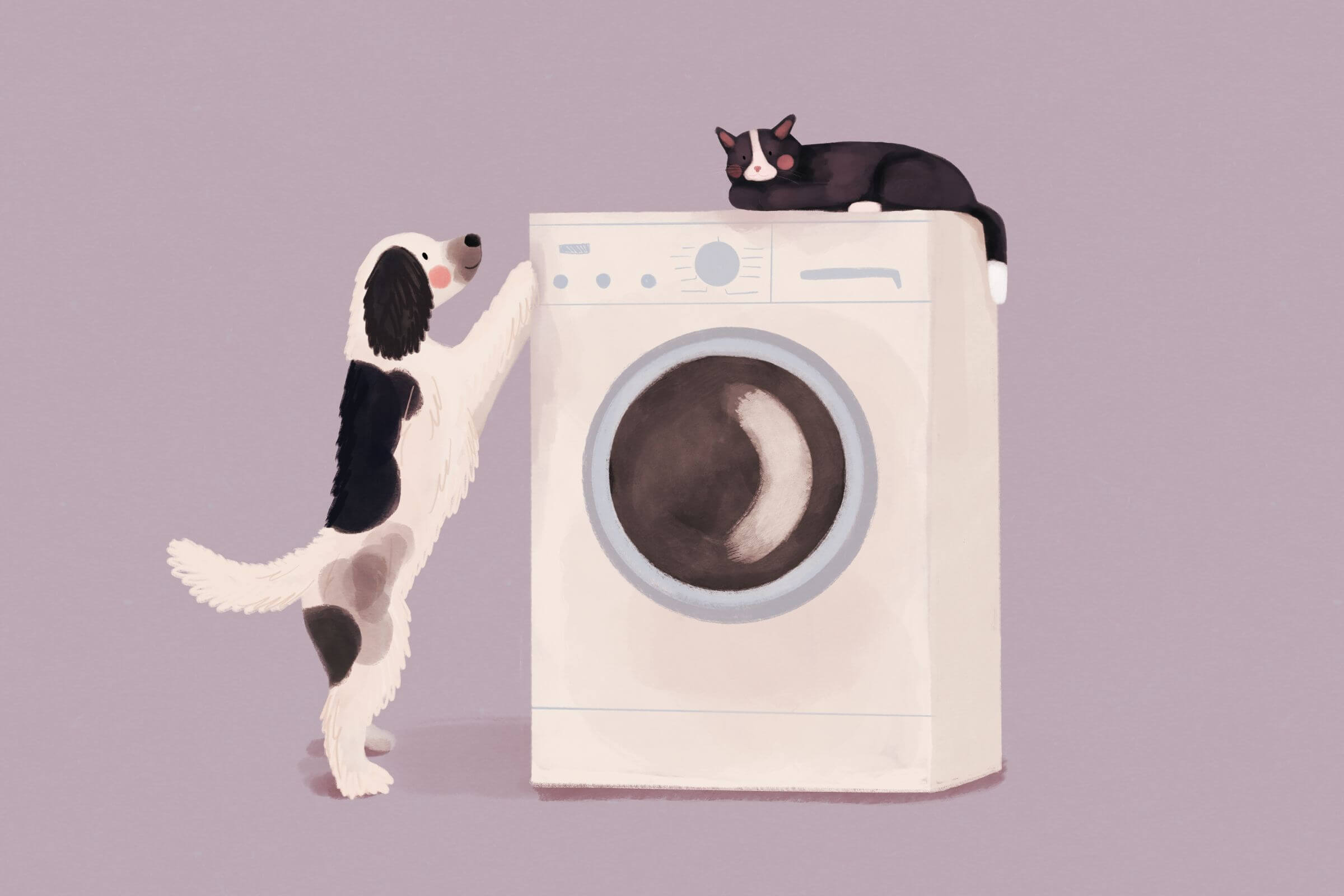 Czy legowisko psa trzeba prać? Jak często je czyścić i jak robić to prawidłowo, żeby służyło latami