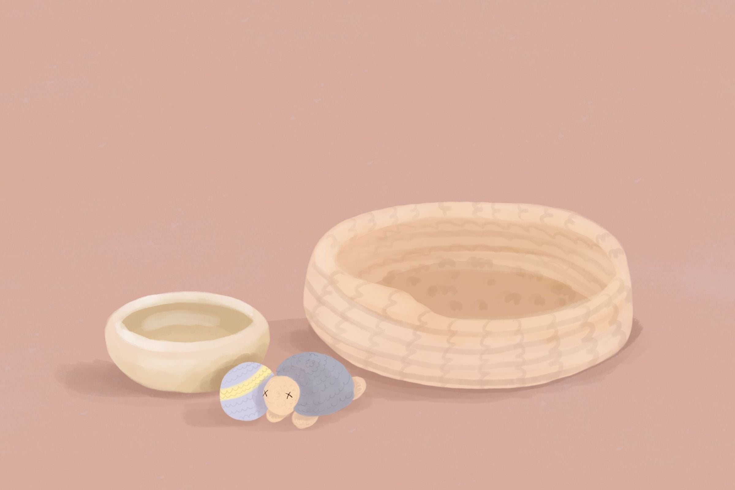 Jak przygotować dom na przyjęcie kota - niezbędnik opiekuna