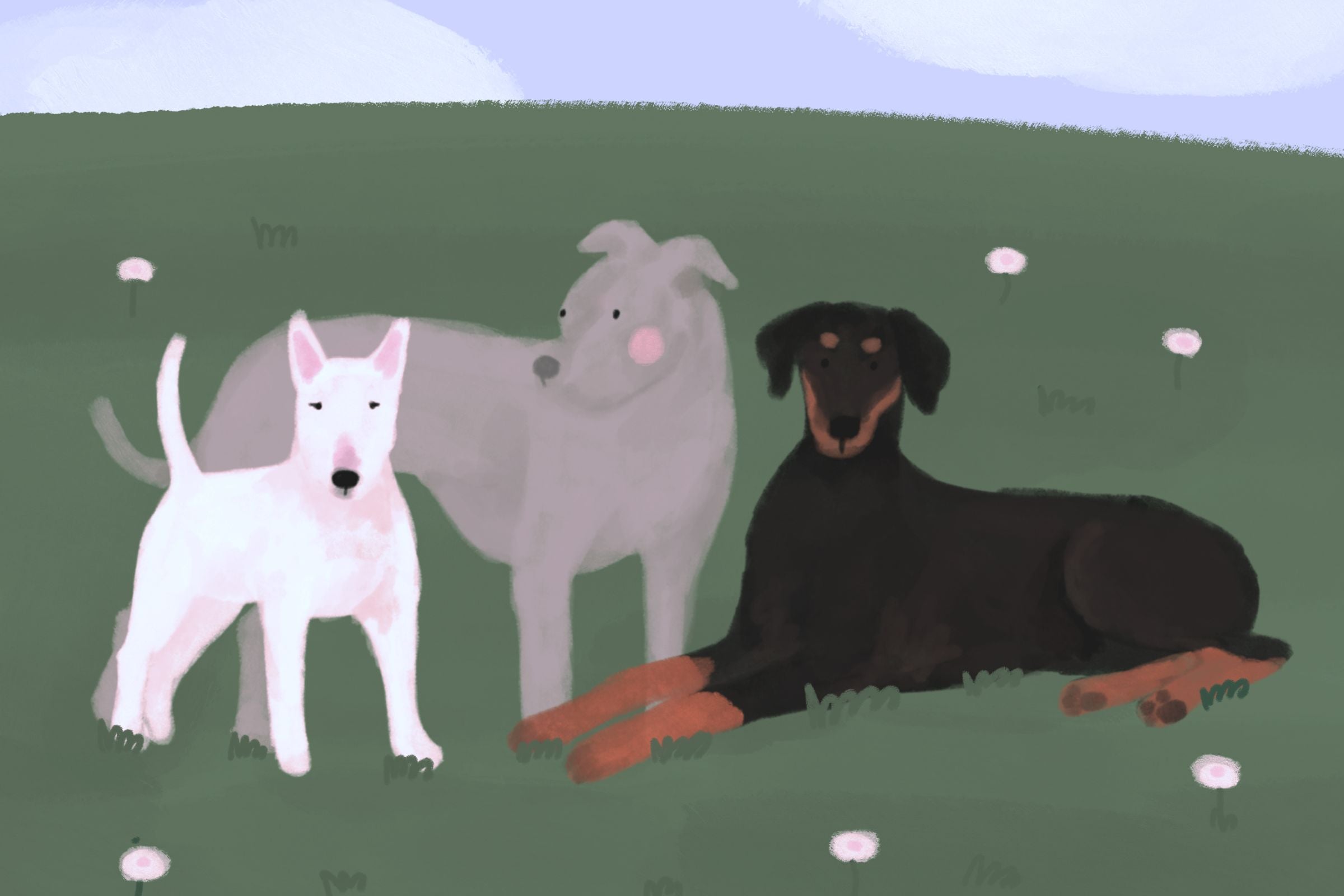 Niebezpieczne rasy psów - mit czy prawda?