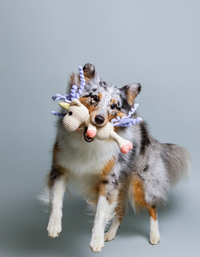 Crochet dog toy AMIKO the unicorn