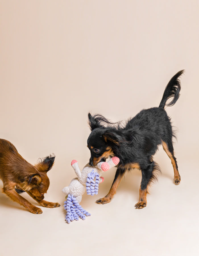 Crochet dog toy AMIKO the unicorn