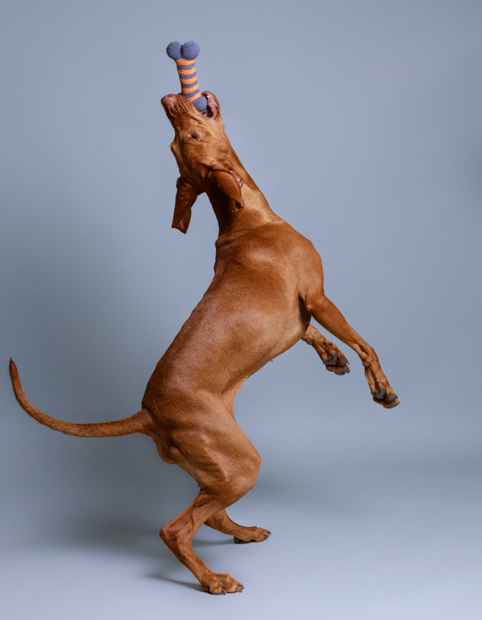 Crochet organic bone toy LILLY orange