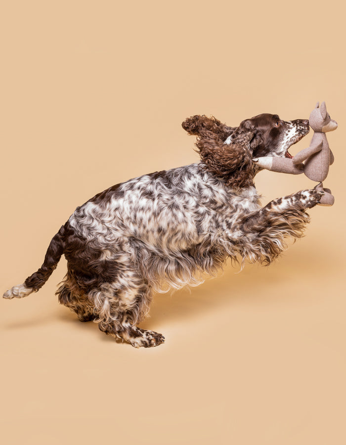 Plush dog toy MARLEY the reindeer