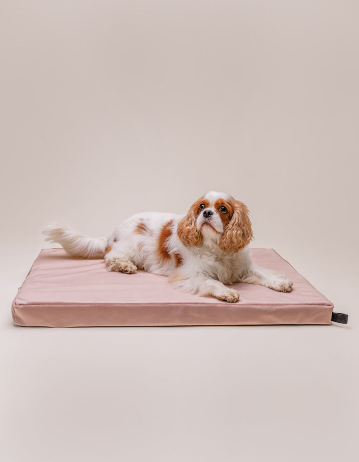 Lounger dog mat CHILL / Memory foam orthopedic bed dusty rose