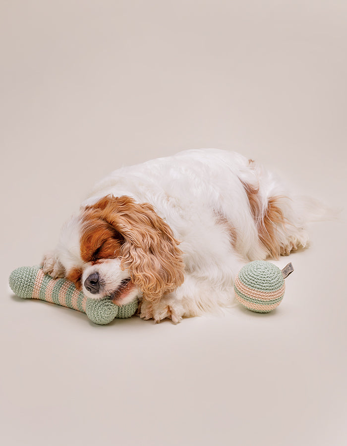 Crochet organic cotton bone toy LILLY meadow
