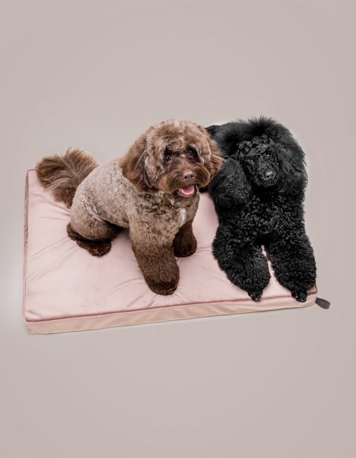 Lounger dog mat CHILL / Memory foam orthopedic bed dusty rose