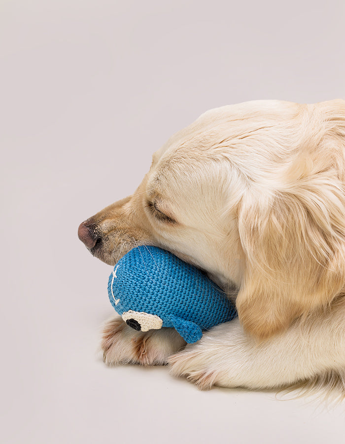 Crochet dog toy BAZYL the whale