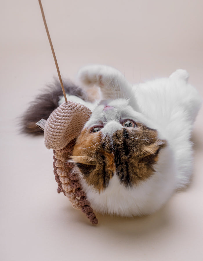 Wand toy with catnip and a bell JELLYFISH beige