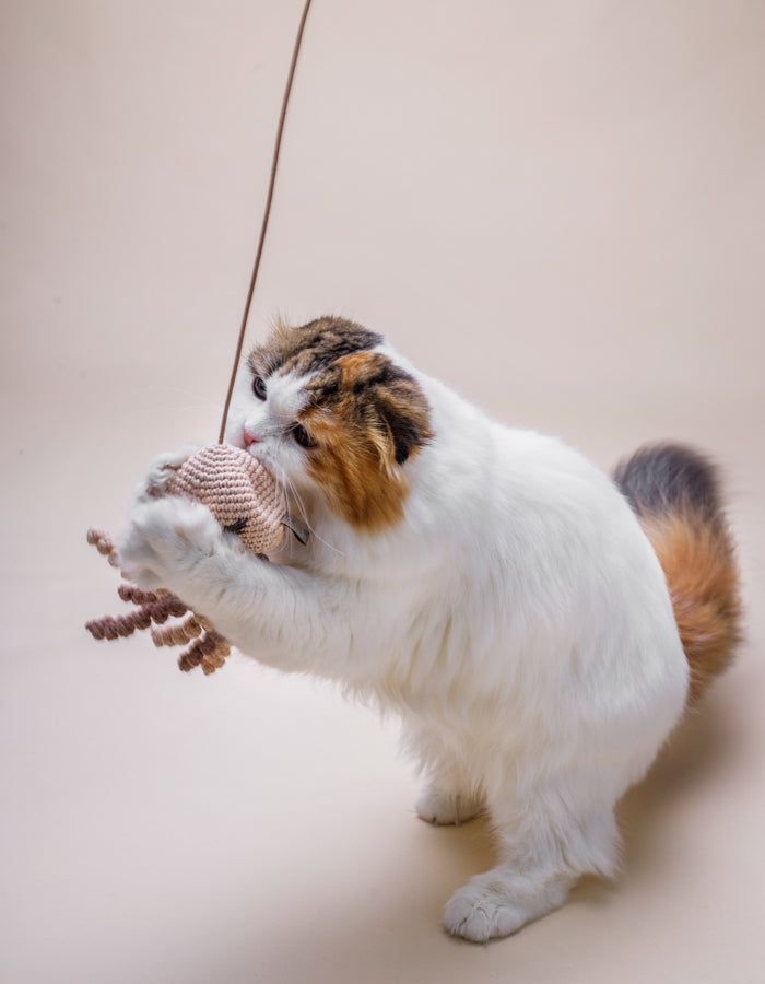 Wand toy with catnip and a bell JELLYFISH beige