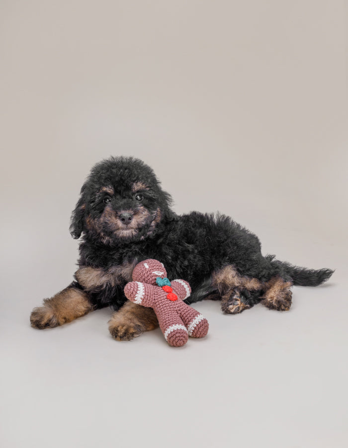 Crochet toy GINGERBREAD MAN