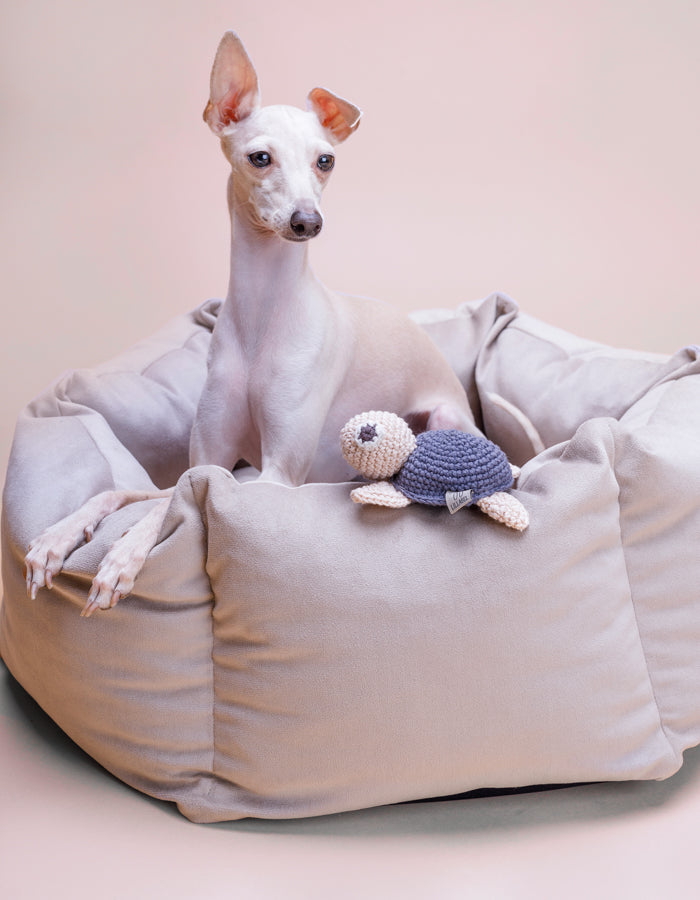 Legowisko dla psa VELUDO greige