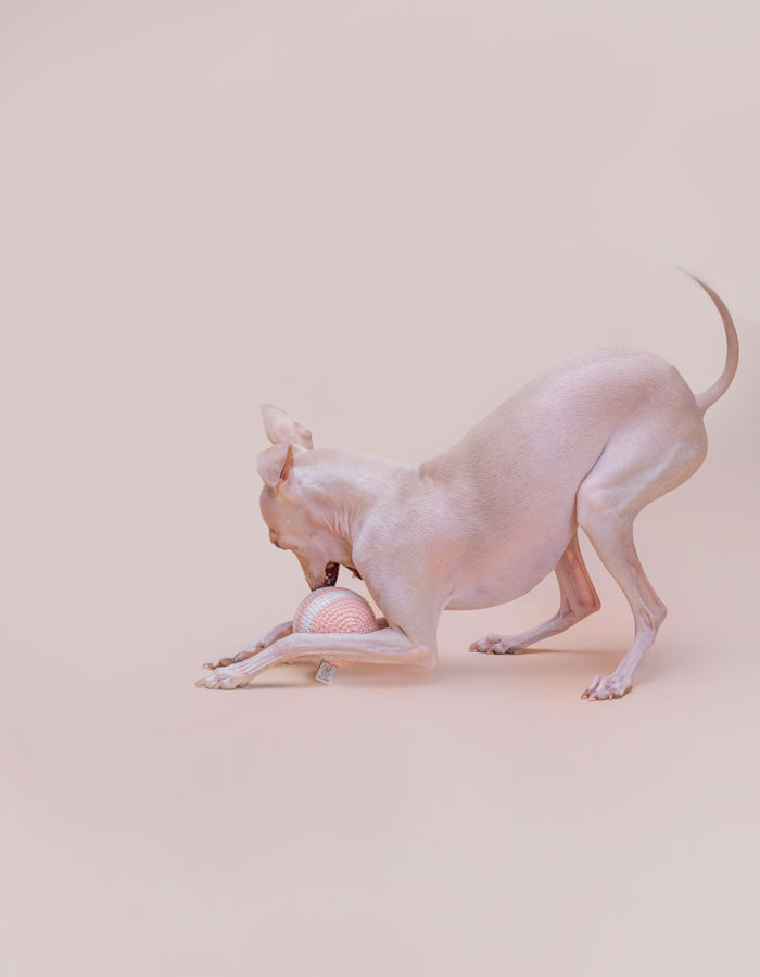 Crochet organic cotton ball RAINBOW peach