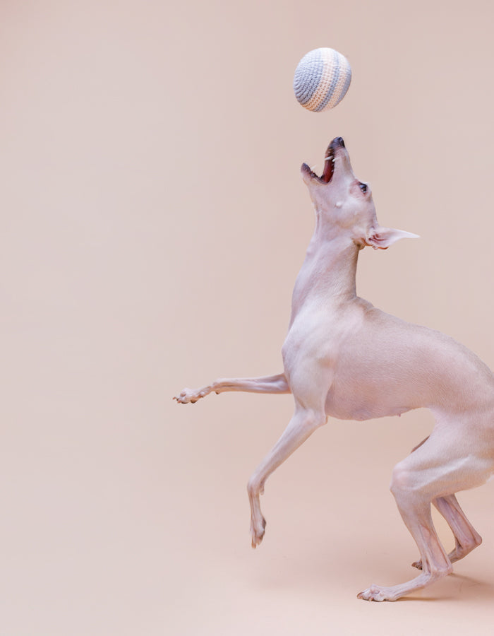 Crochet organic cotton ball RAINBOW nightshadow blue