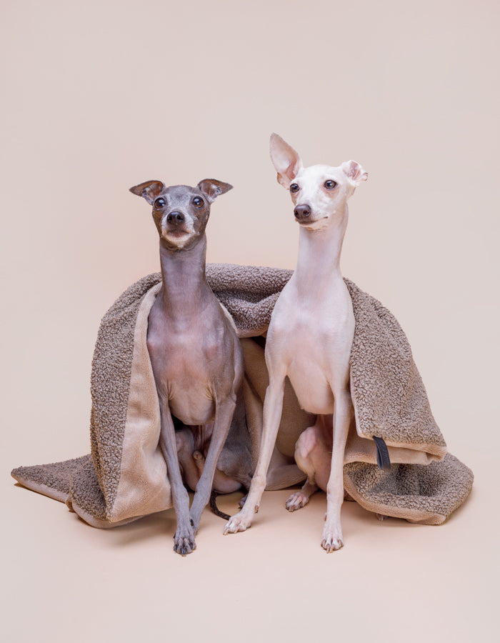 Kocyk dla psa lub kota CALM eco bouclé taupe