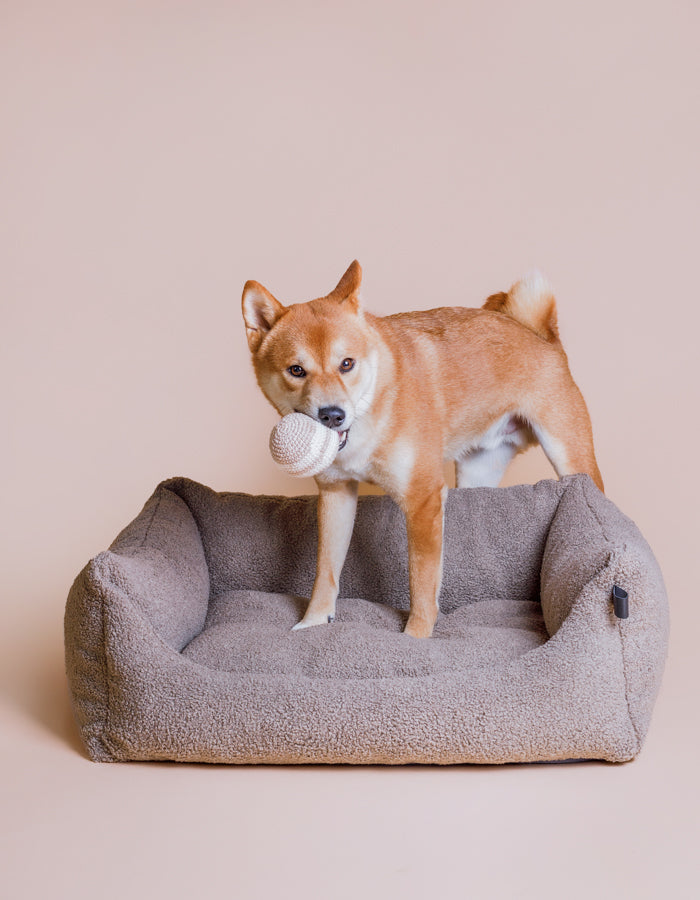 Crochet organic cotton ball RAINBOW almond