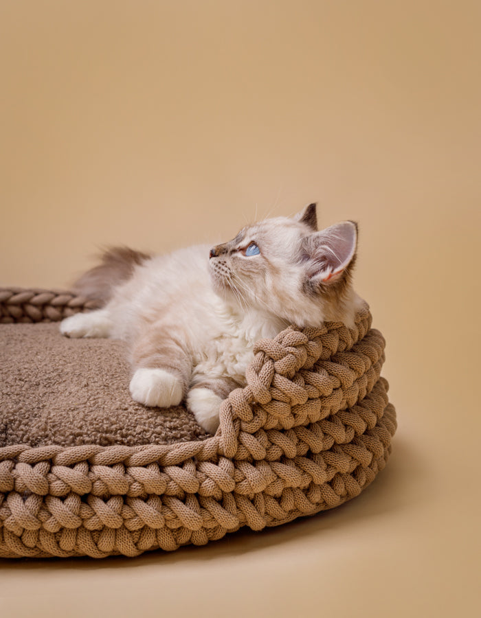 Pet pillow CLOUD eco bouclé / Filling for the COTTON bed