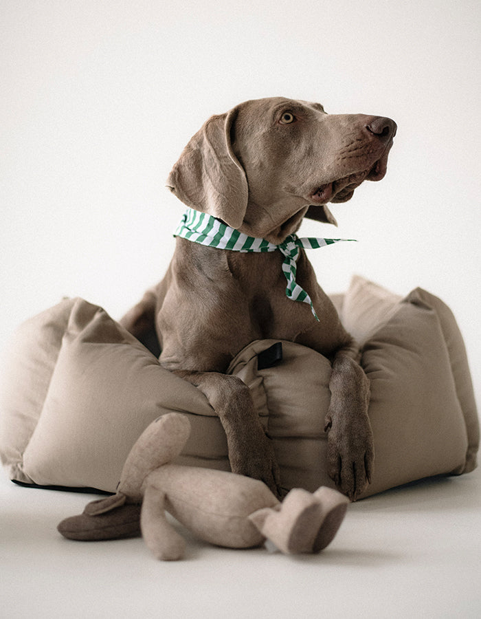 Dog bandana GREEN STRIPES