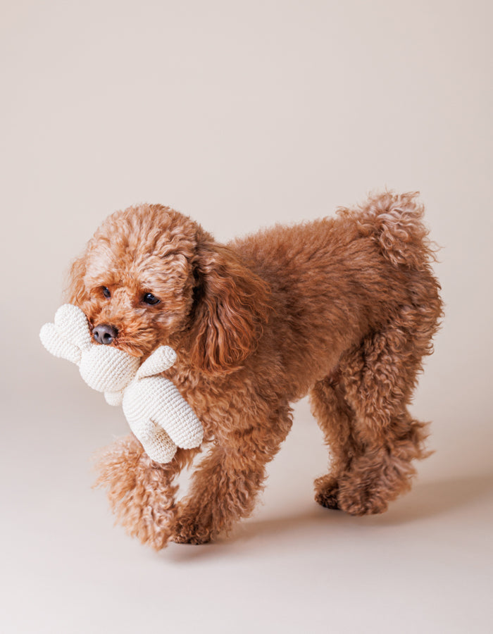 Crochet dog toy Rosie bunny with a squeaker