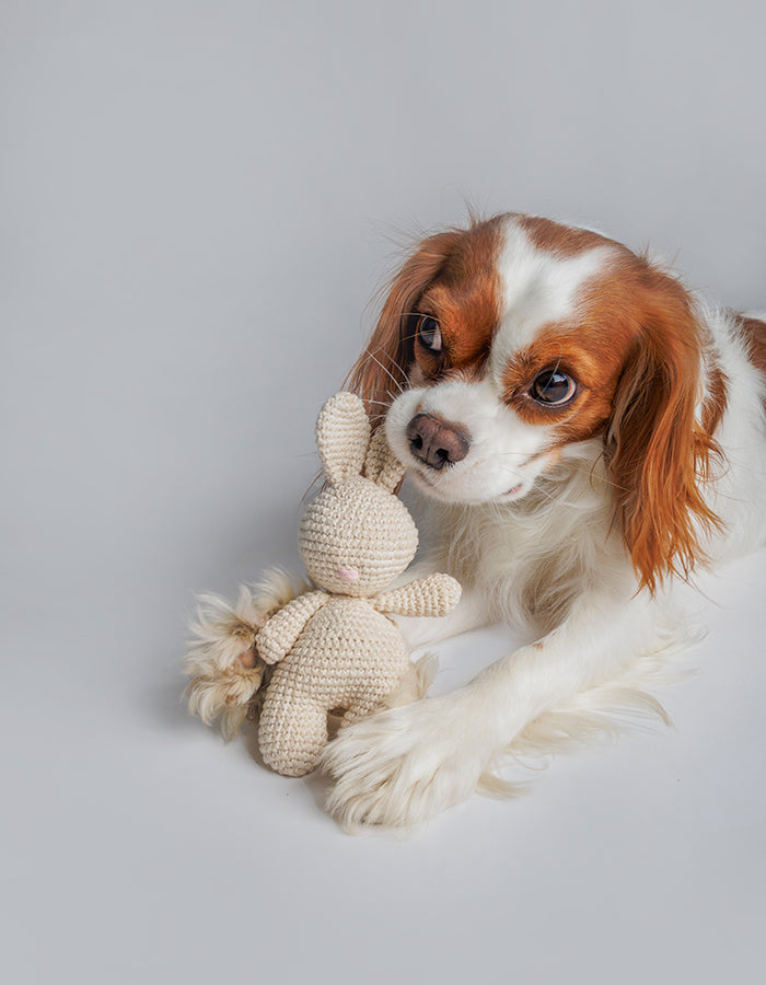 Crochet dog toy Rosie bunny with a squeaker