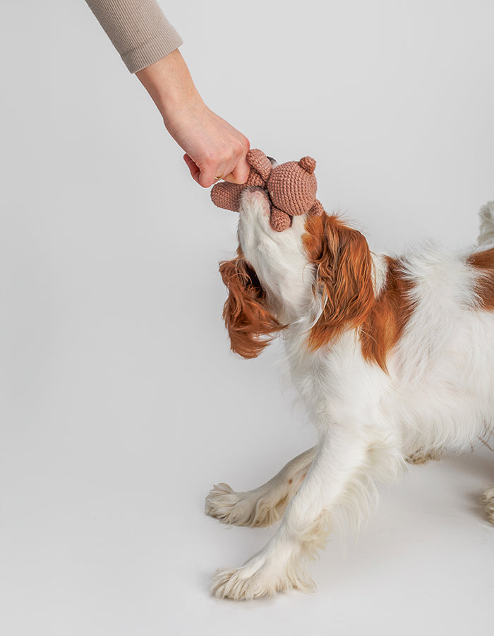 Crochet dog toy teddy bear Bruno with a squeaker