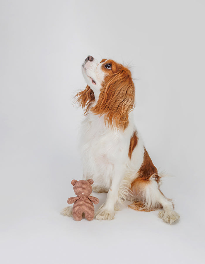 Crochet dog toy teddy bear Bruno with a squeaker