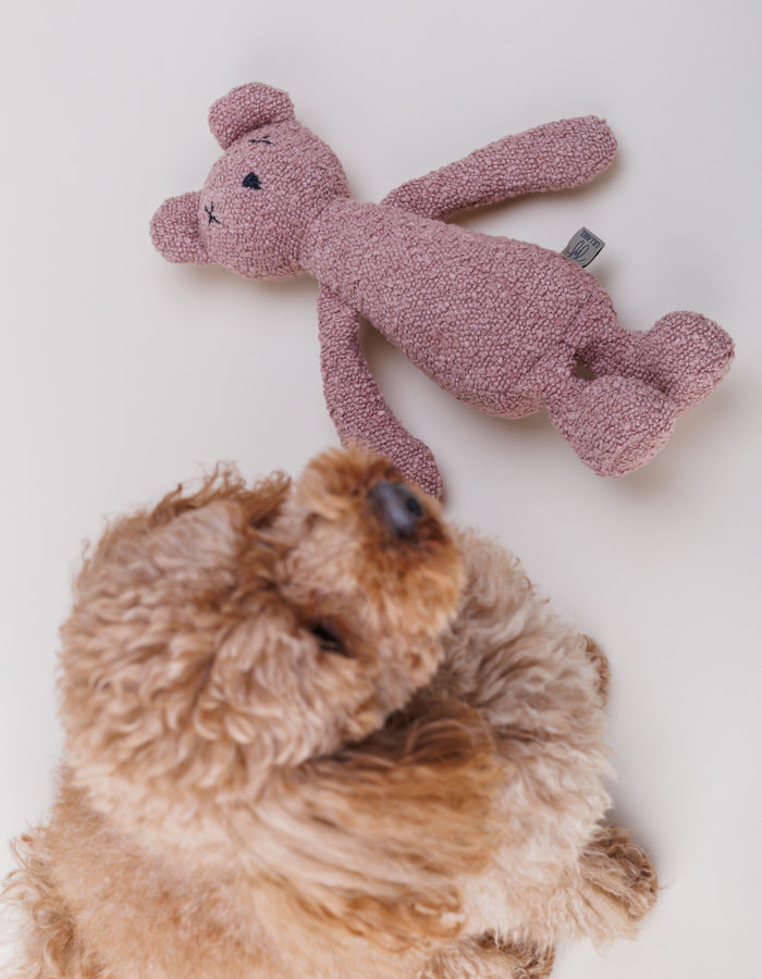 Plush toy for dog teddy bear BERTY