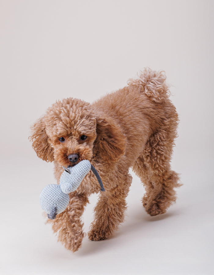 Crochet dog toy Charlie cat with a squeaker