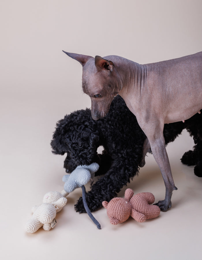 Crochet dog toy Charlie cat with a squeaker