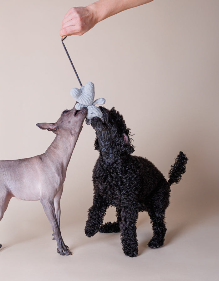 Crochet dog toy Charlie cat with a squeaker