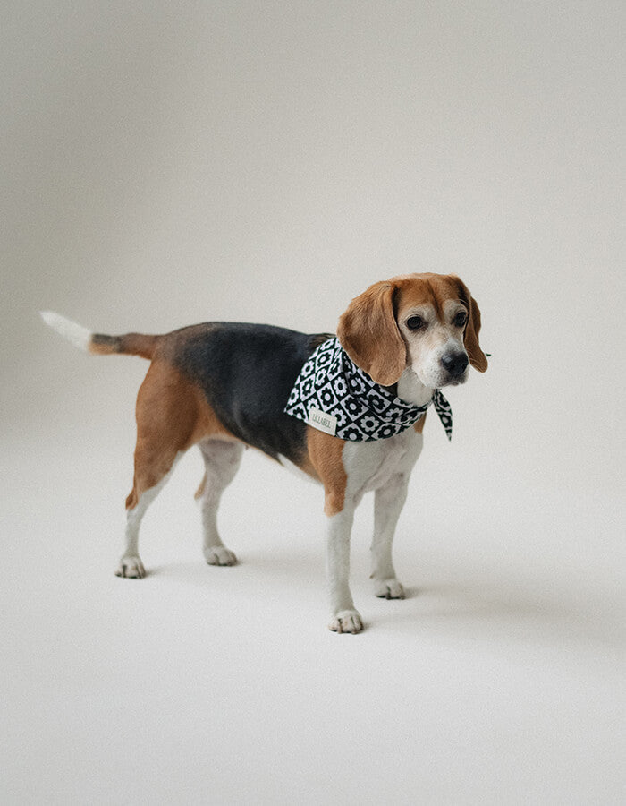 Dog bandana TUX