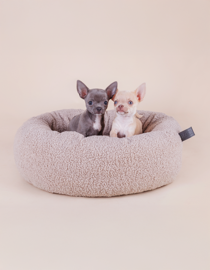 Nest cloud bed for a small or medium-sized dog