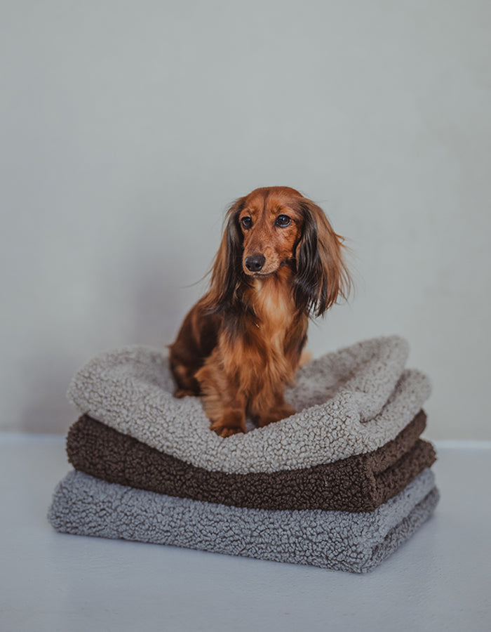 Boucle dog blanket HYGGE stone grey