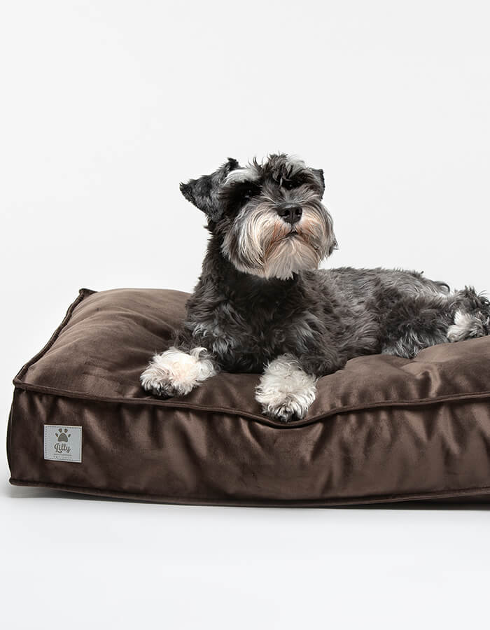 Legowisko poducha dla psa COSY chocolate brown