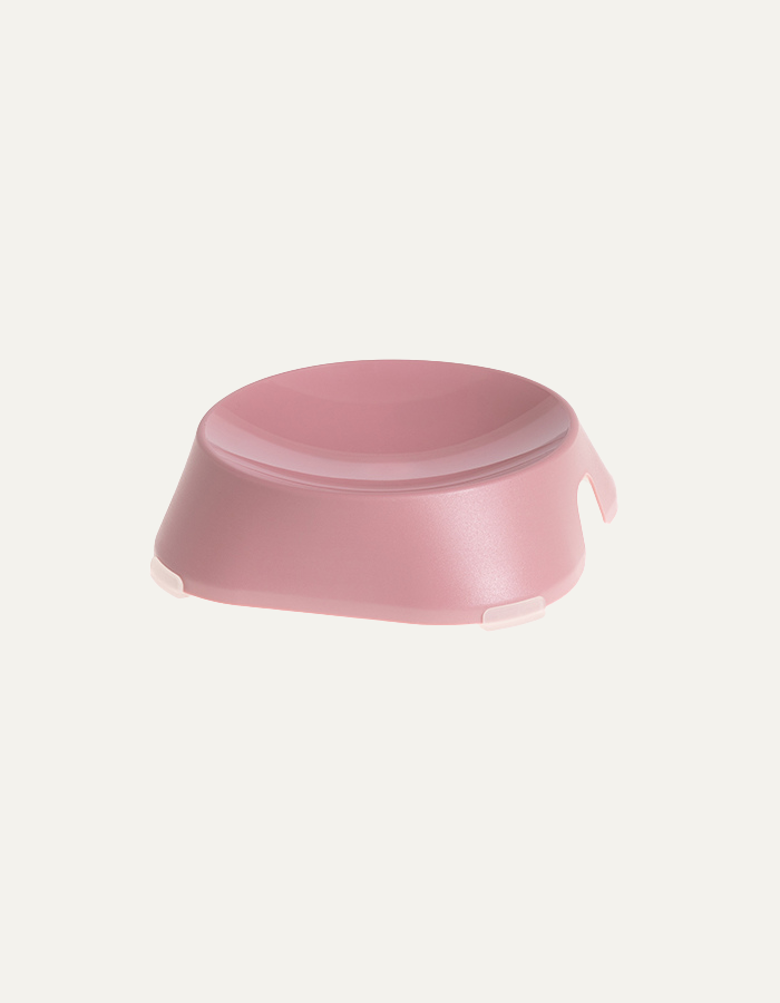 Shallow bowl for cat or dog