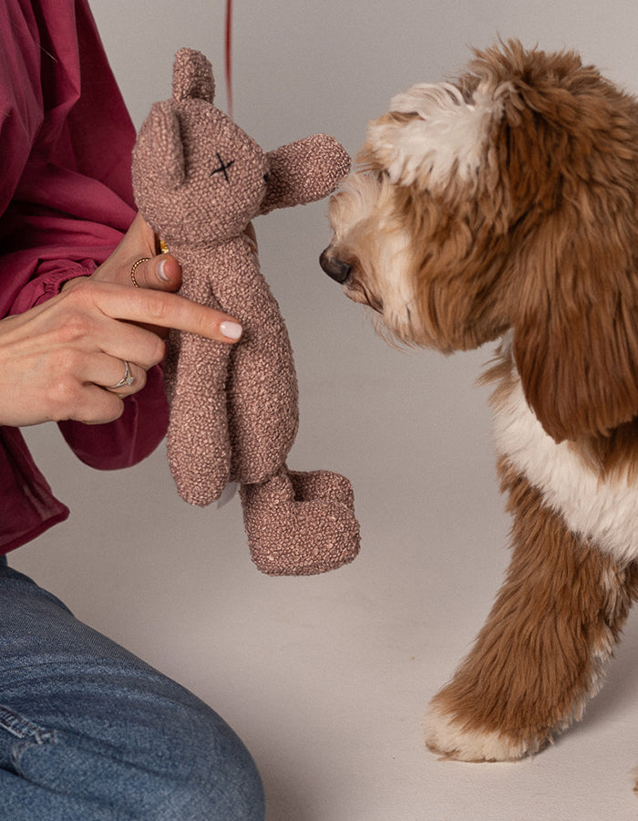 Plush toy for dog teddy bear BERTY