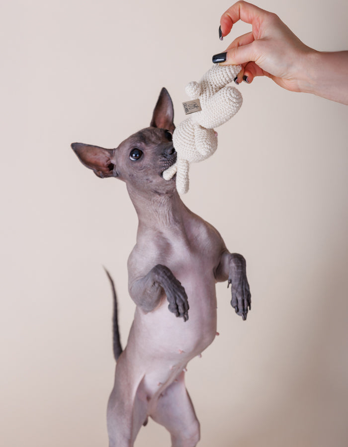 Crochet dog toy Rosie bunny with a squeaker