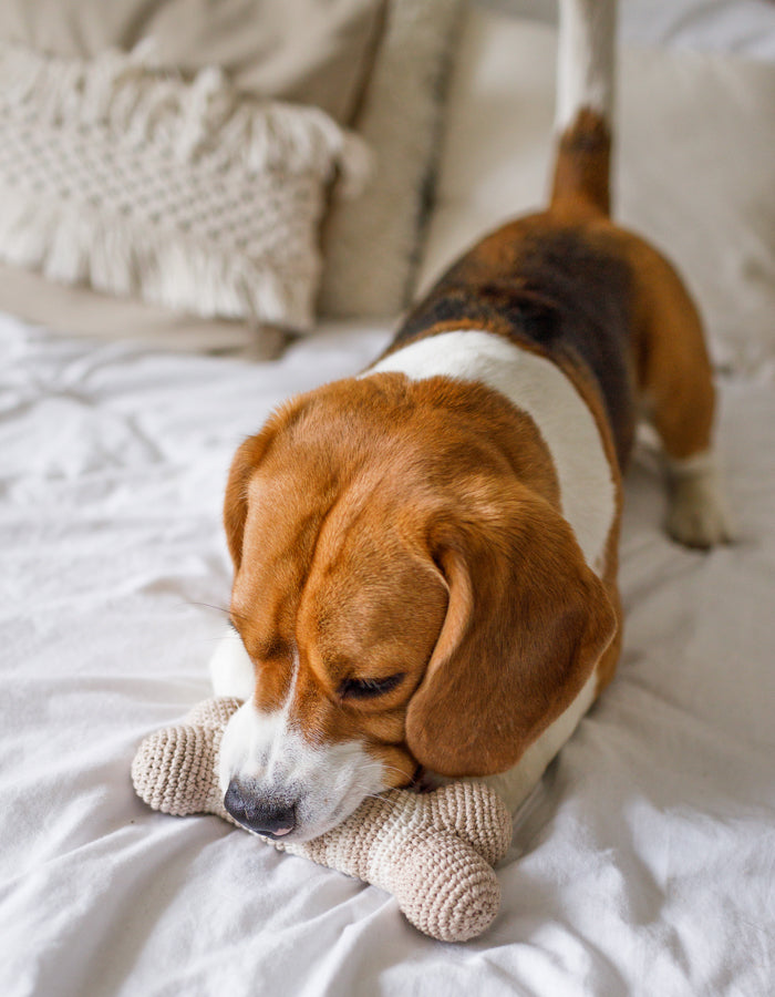 Crochet organic cotton bone toy LILLY almond