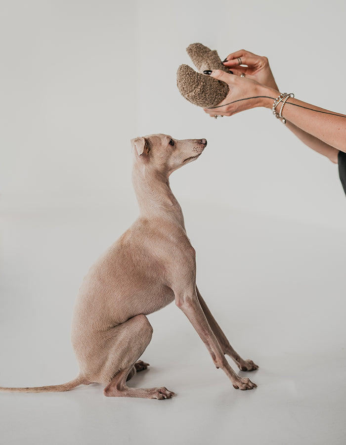Zabawka węchowa / aktywizująca dla psa CROISSANT