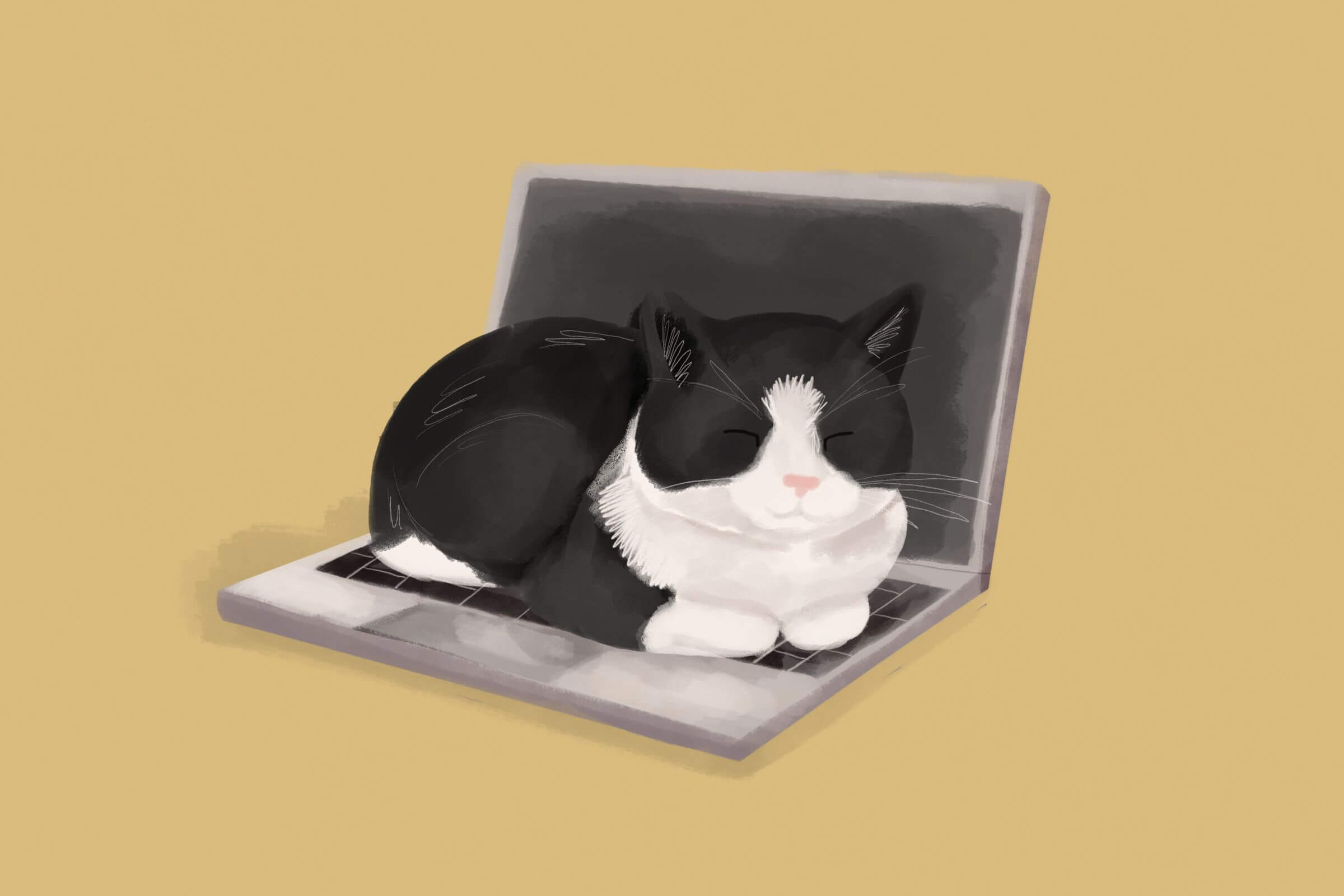 Dlaczego koty śpią w nietypowych miejscach? Kocia natura, instynkt i potrzeba bezpieczeństwa