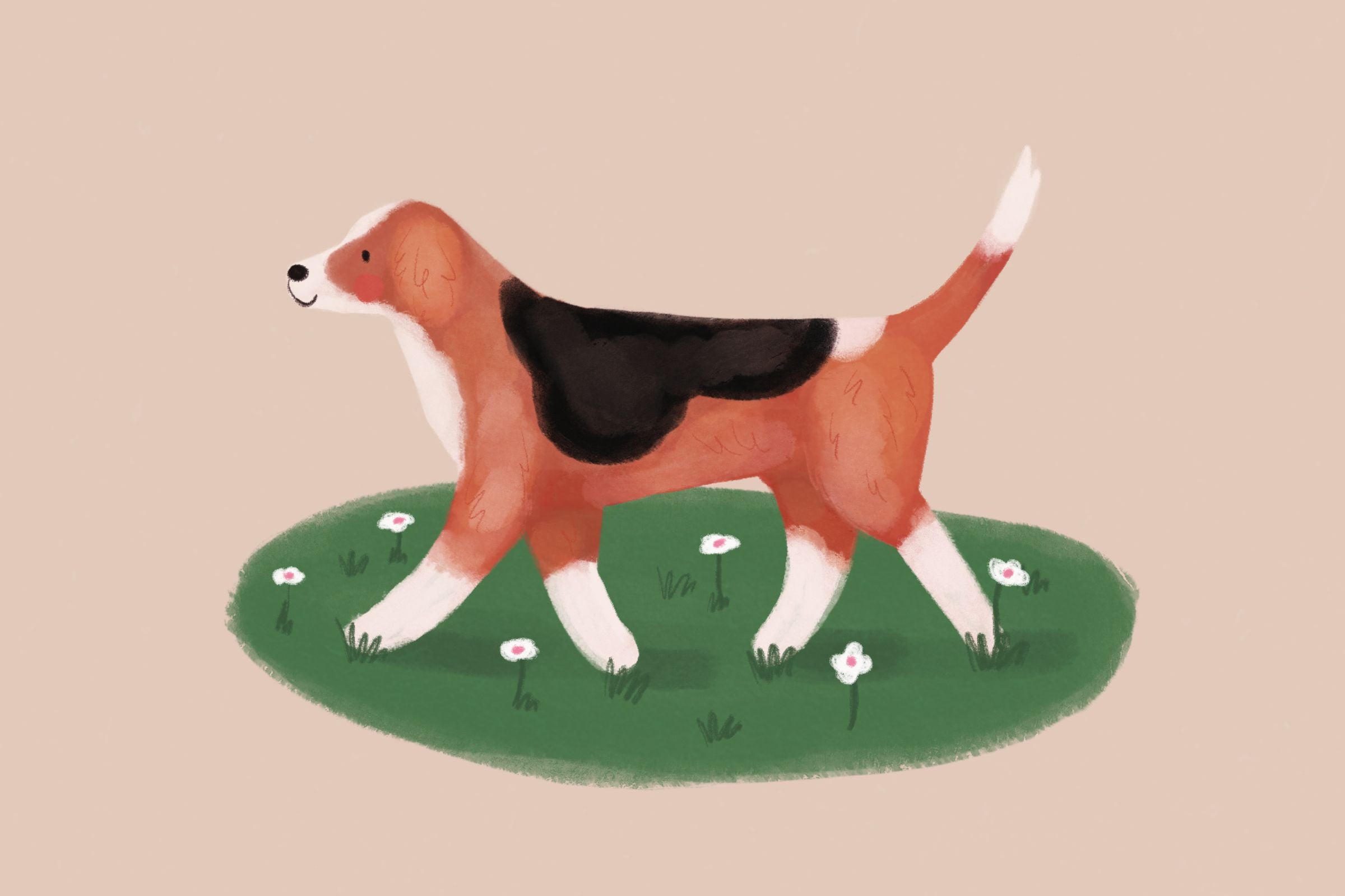 Zachowanie psa wiosną - dlaczego pies ma więcej energii?