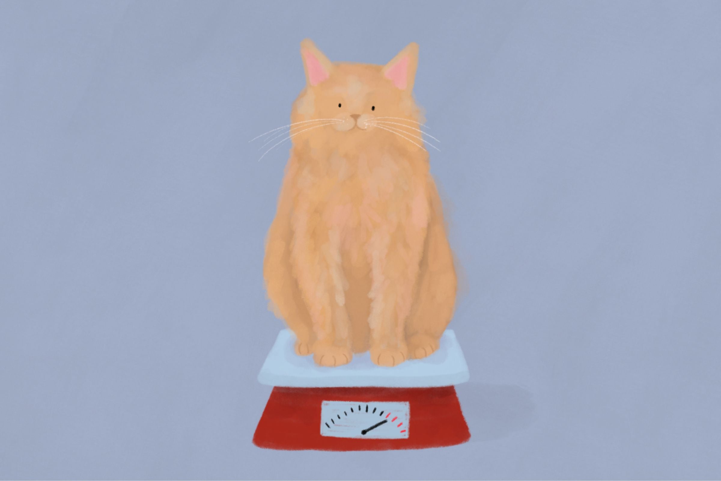 Otyłość u psów i kotów: przyczyny, skutki oraz sposoby zapobiegania