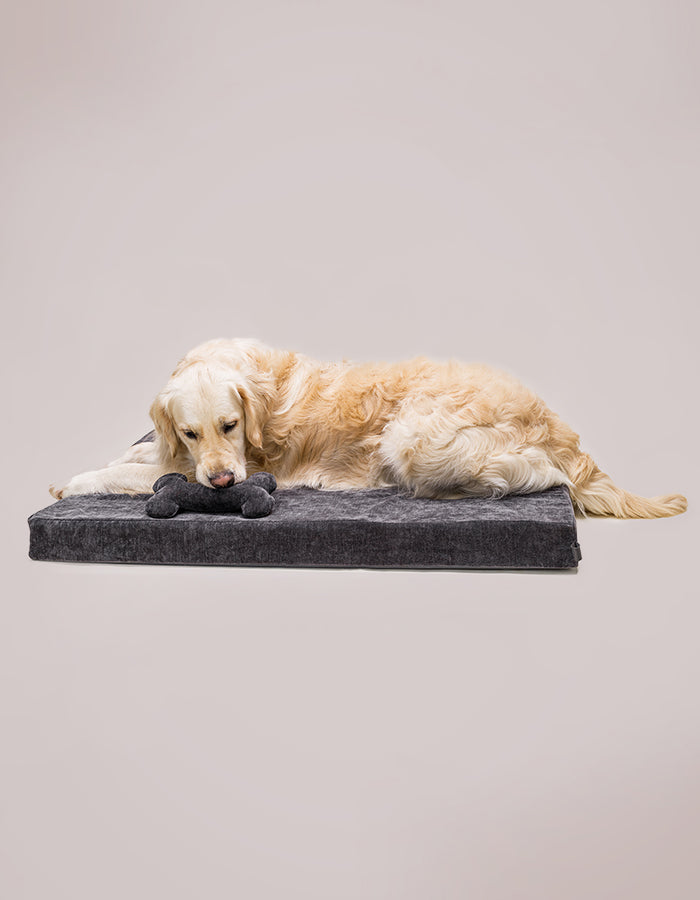 Lounger dog mat CHILL / Memory foam orthopedic bed charcoal