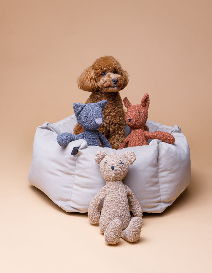 Plush dog toy BERTY the bear