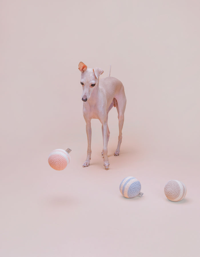 Piłka dla psa z bawełny organicznej RAINBOW almond