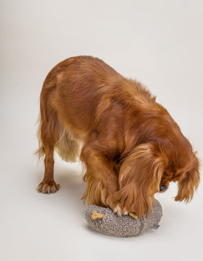 Enrichment plush dog toy CROISSANT