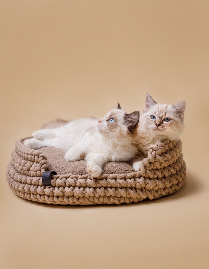 Pet pillow CLOUD eco bouclé / Filling for the COTTON bed