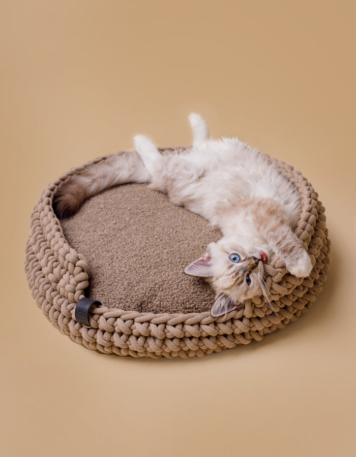 Pet pillow CLOUD eco bouclé / Filling for the COTTON bed
