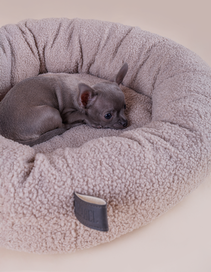 Nest cloud bed for a small or medium-sized dog