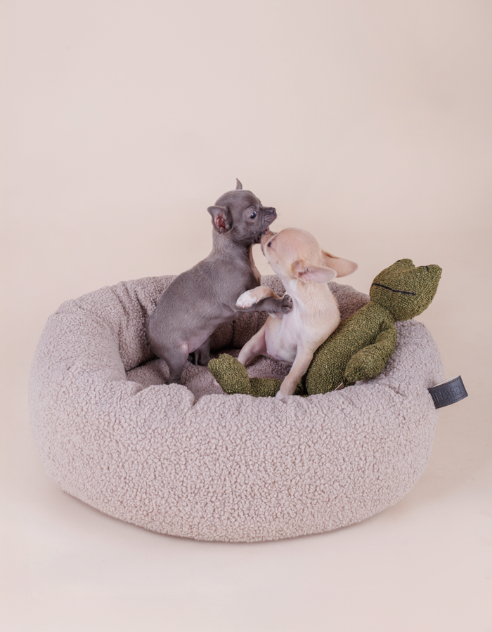 Nest cloud bed for a small or medium-sized dog